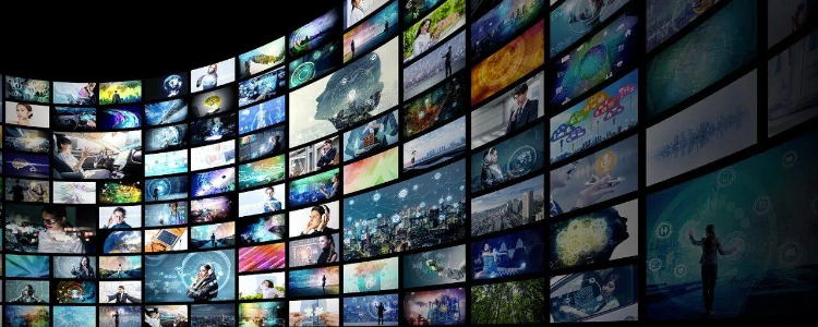 蘑菇视频 - 海量高清短视频，一手掌握精彩内容。